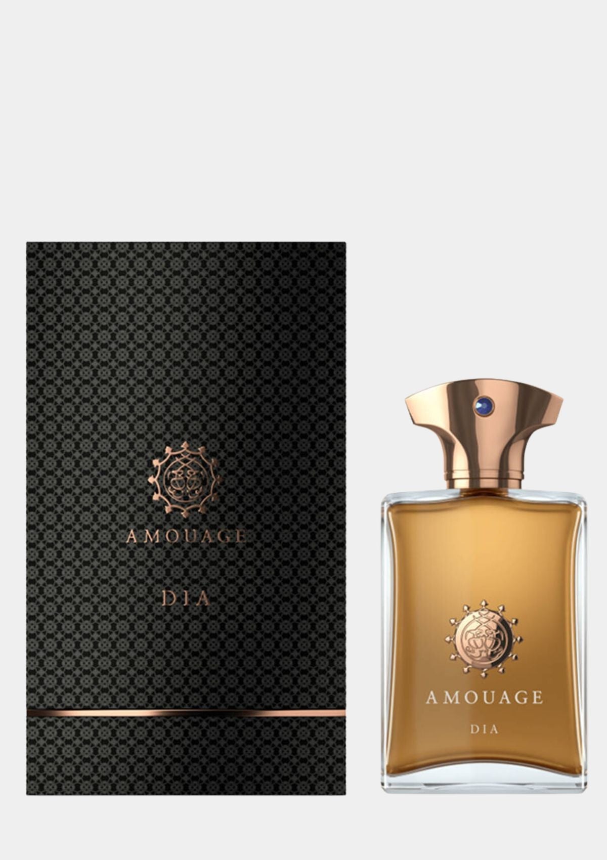 Amouage Dia for Men EDP 100mL