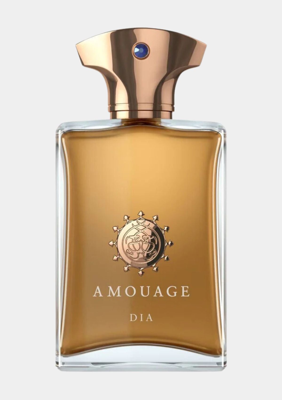 Amouage Dia for Men EDP 100mL