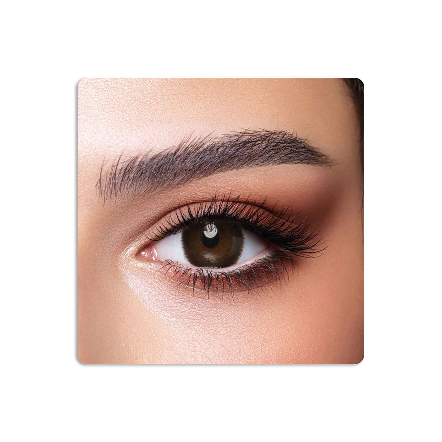 One Day Colored Contact Lenses