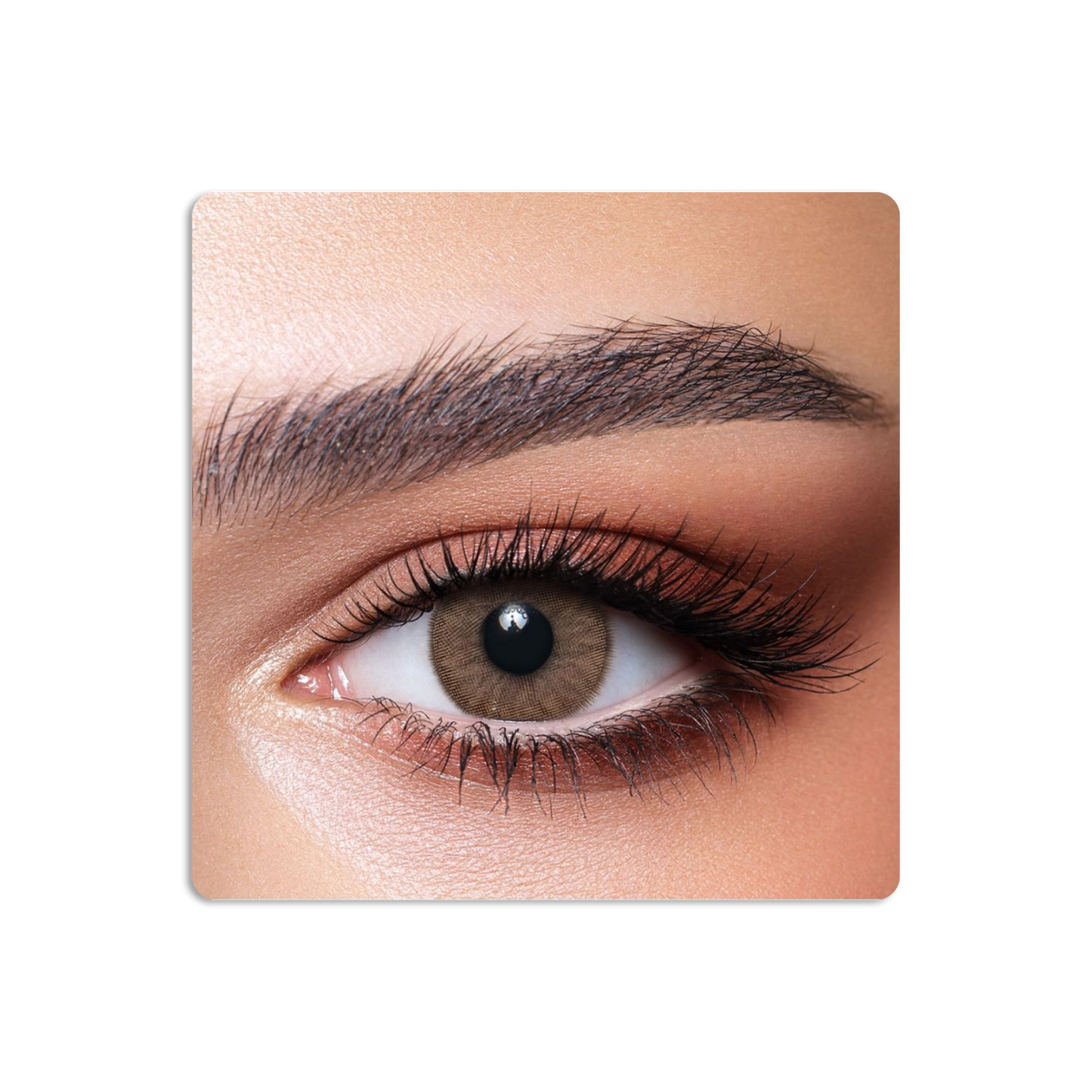 One Day Colored Contact Lenses