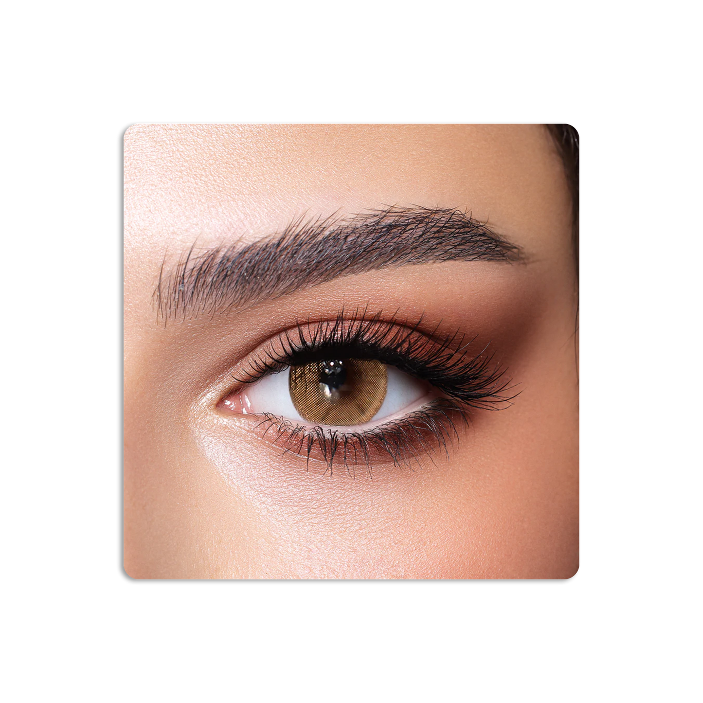One Day Colored Contact Lenses