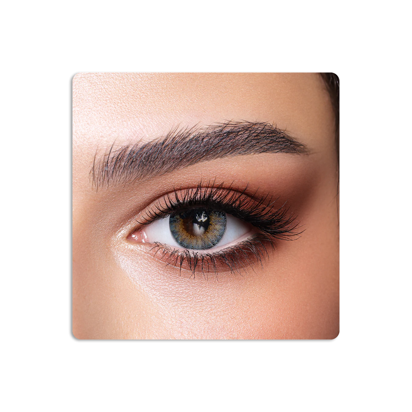 One Day Colored Contact Lenses