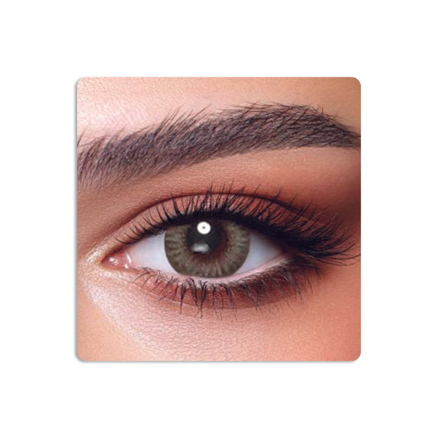 One Day Colored Contact Lenses