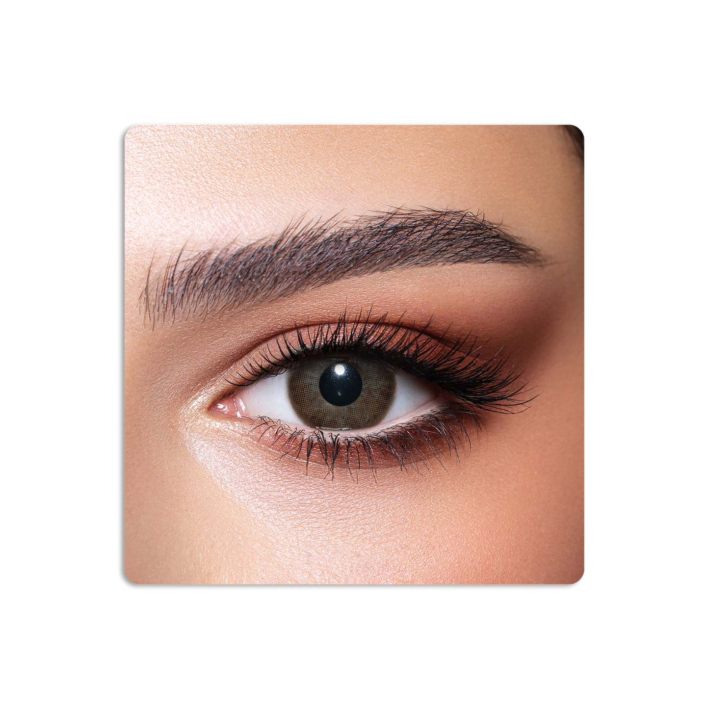 One Day Colored Contact Lenses