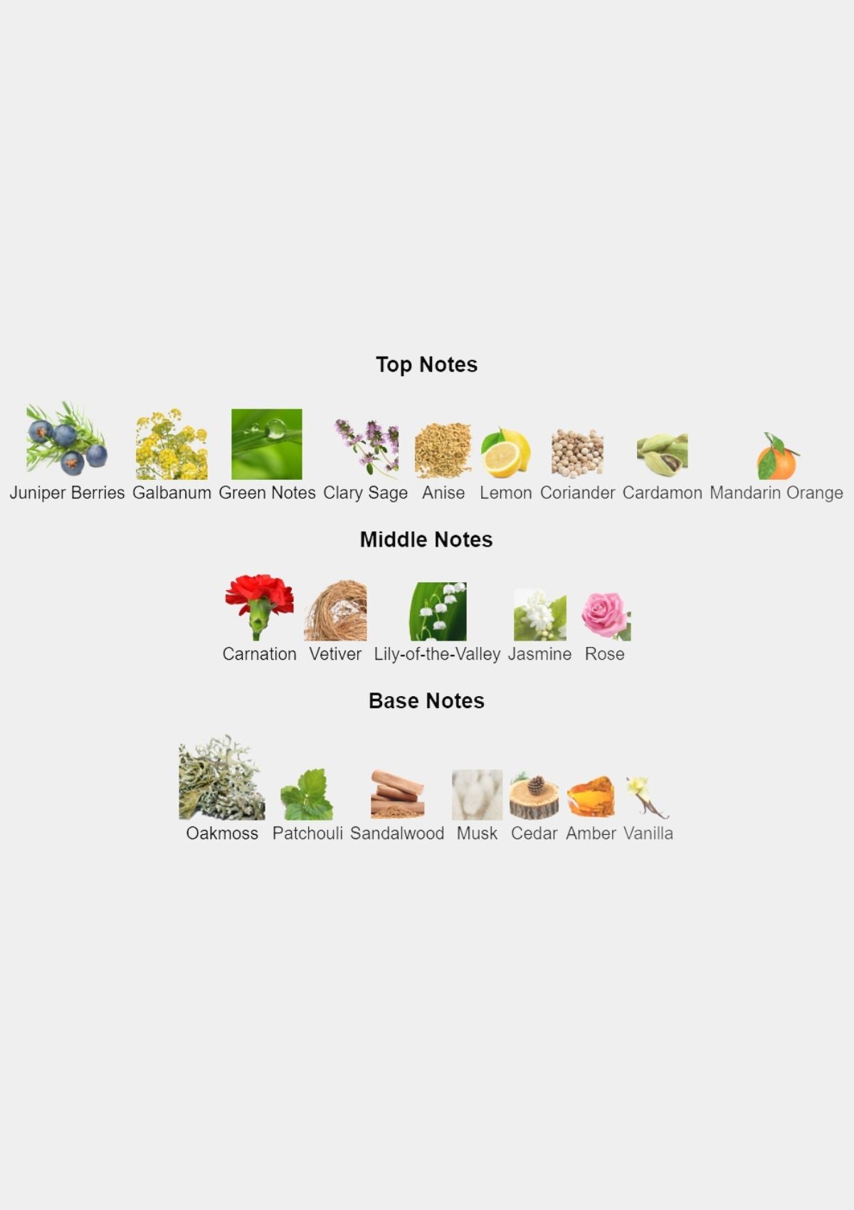 Lauder for Men EDC 100mL