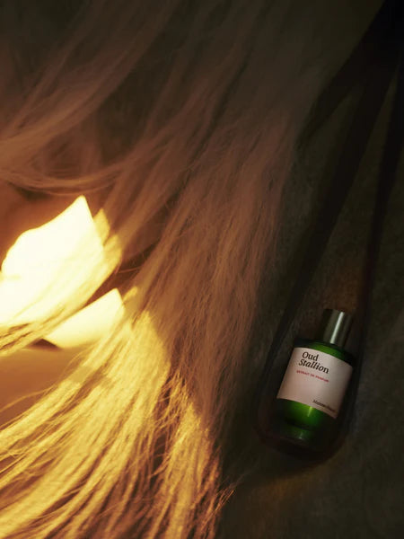 Maison Crivelli Oud Stallion Extrait de Parfum 50ml