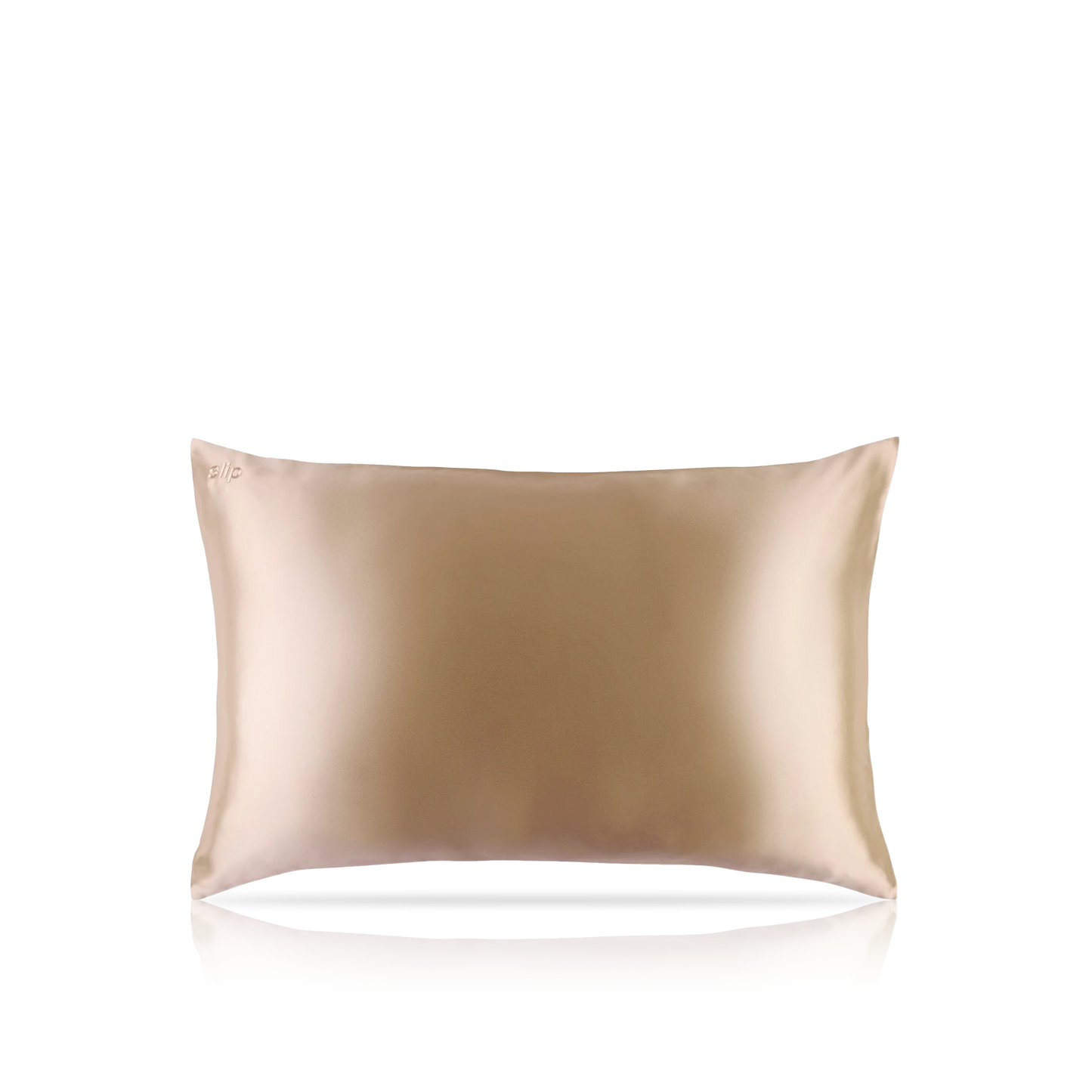 Pure Silk Queen Zippered Pillowcase