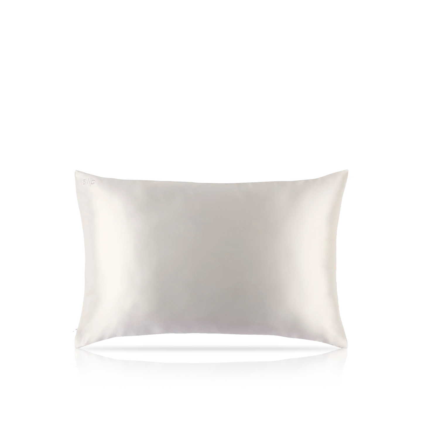 Pure Silk Queen Zippered Pillowcase