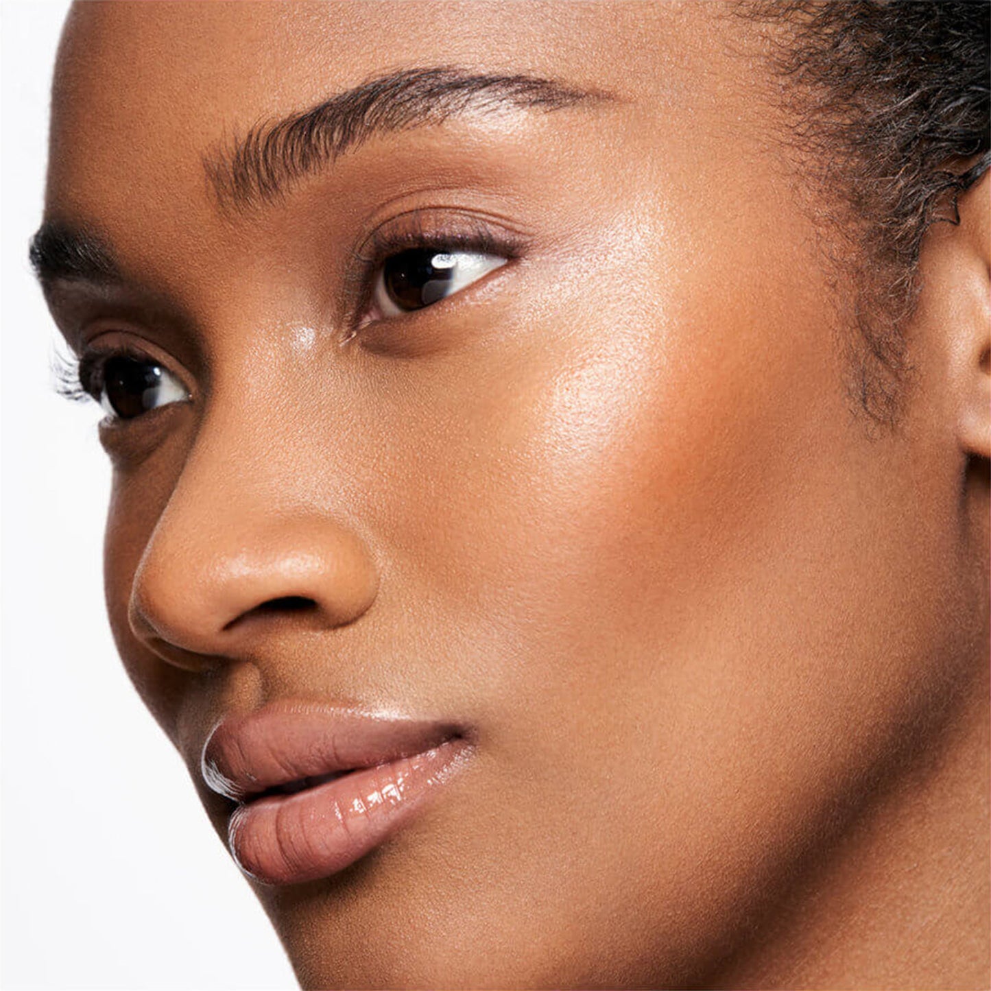 Complete Harmony Lip & Cheek Stick