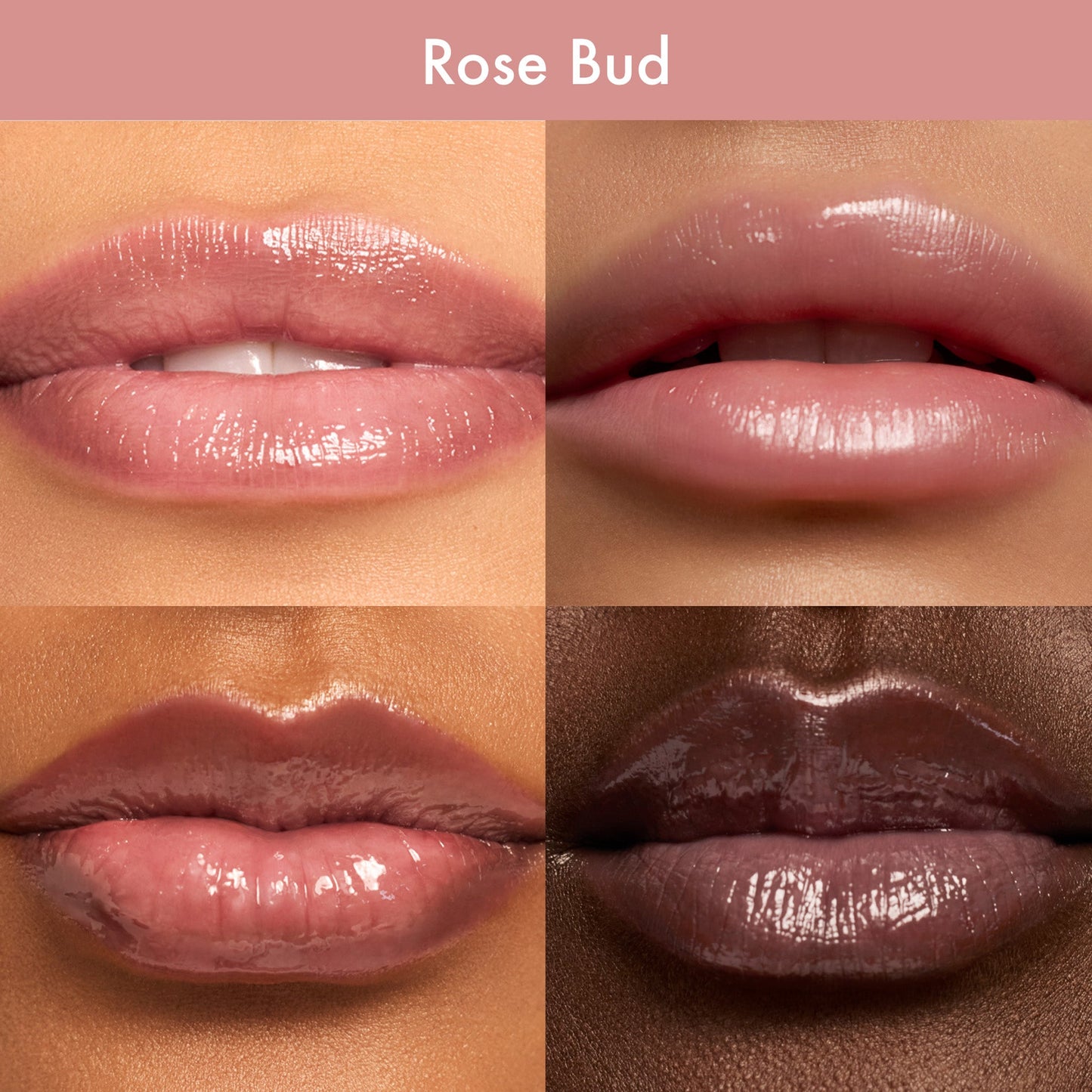 DREAM LIP OIL