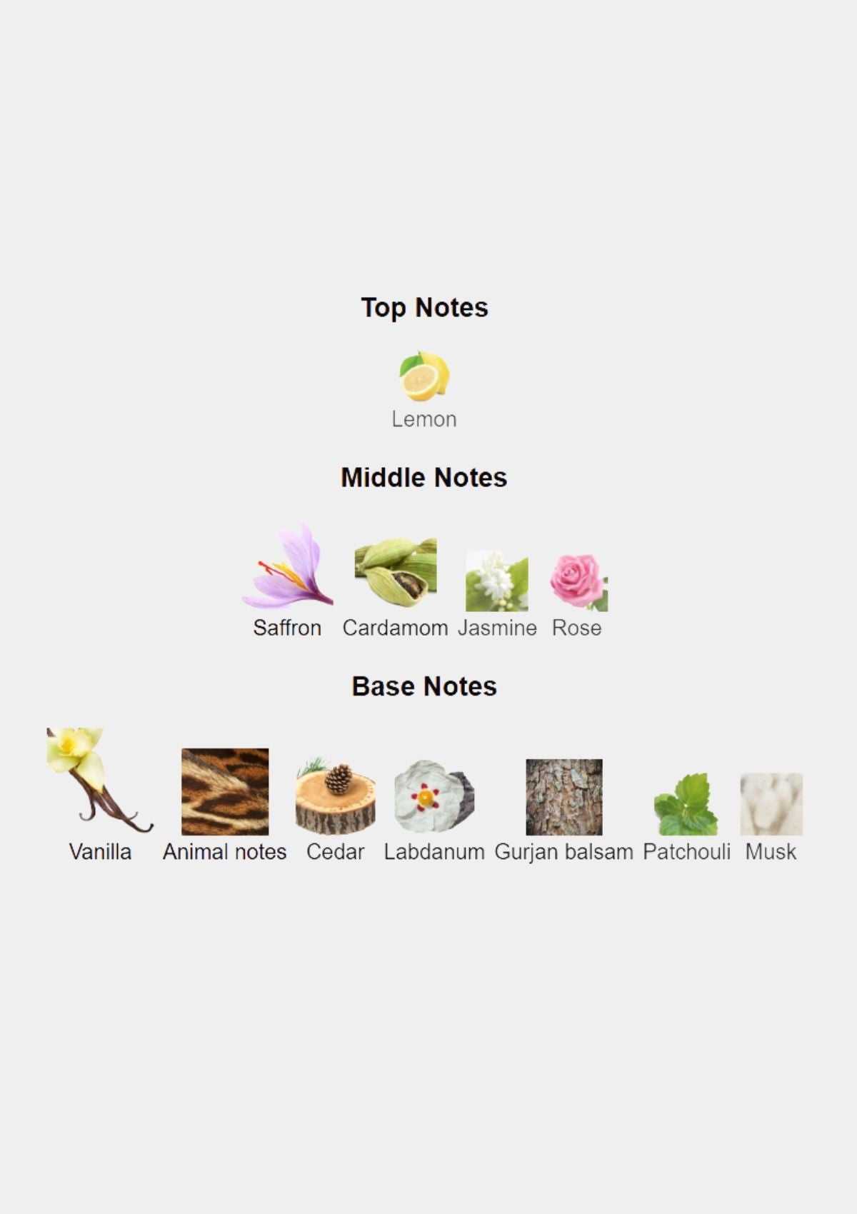 Thameen Regent Leather Extrait de Parfum for Unisex 50mL