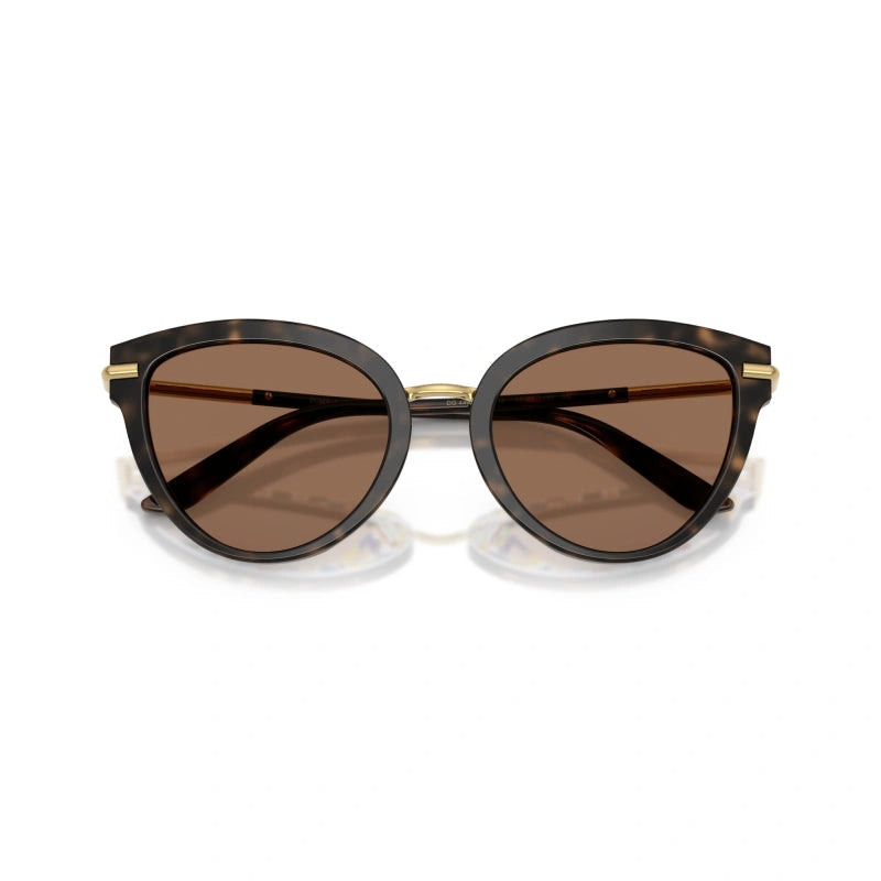 D&G DG4492 321713 Havana/Brown Butterfly Sunglasses Size 55