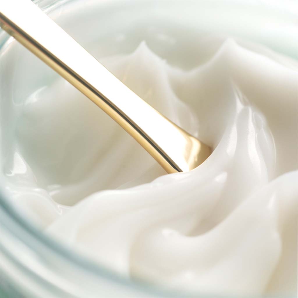 THE WATER CREAM