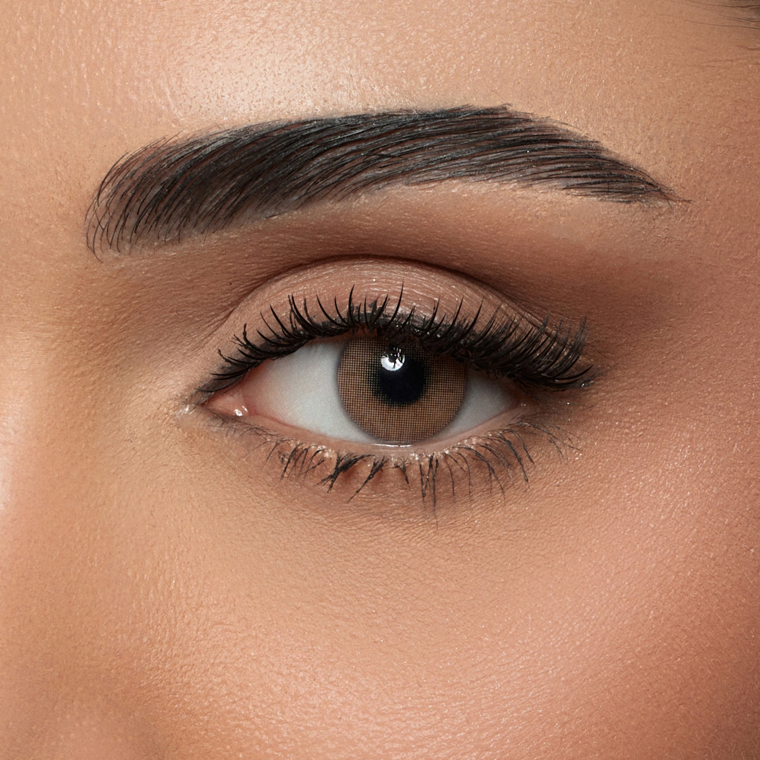 Amara Plano Pure Hazel Monthly