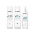 Goldwell Scalp Specialist Scalp Reset & Grow Set