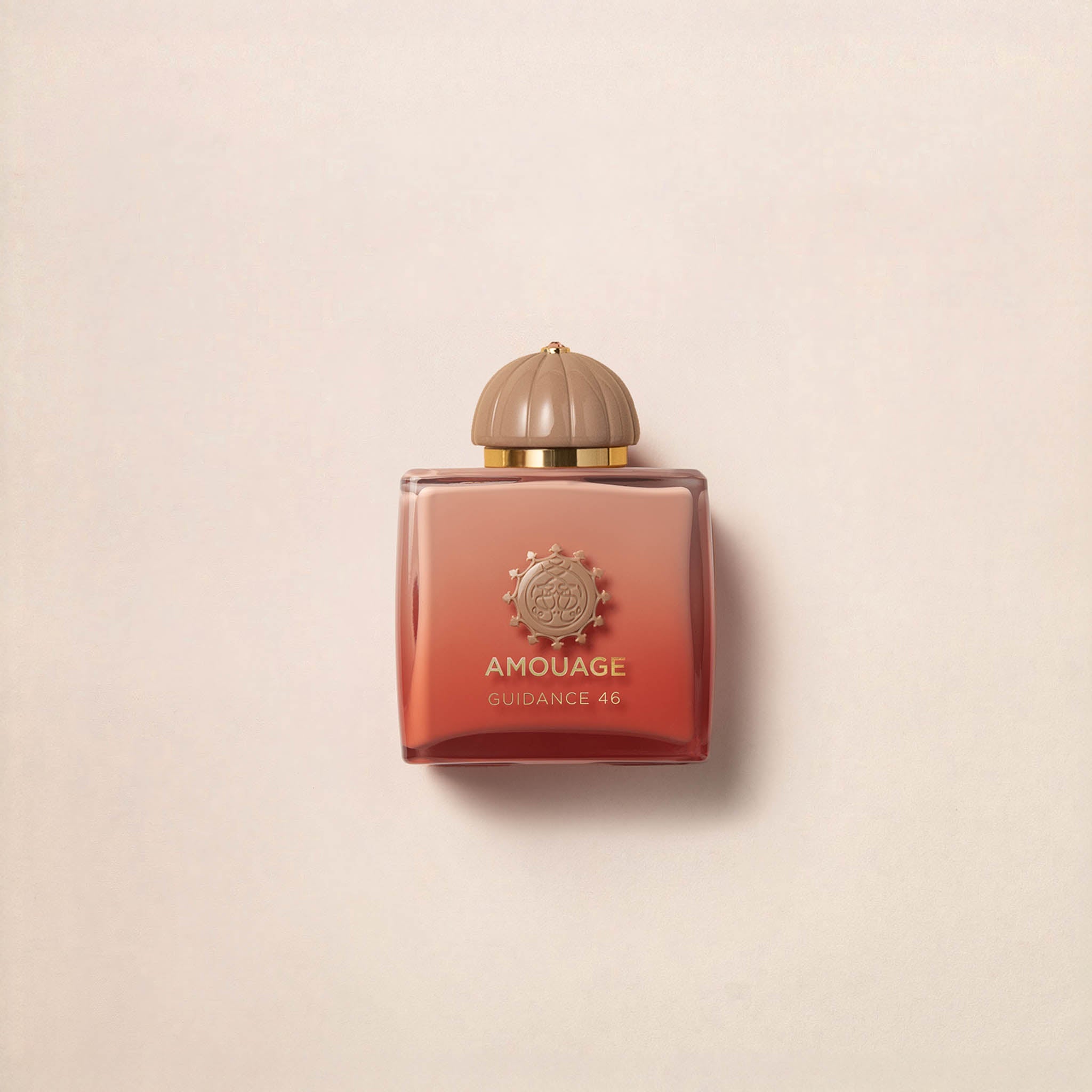 Amouage Guidance 46 Exceptional Extrait de Parfum 100ml