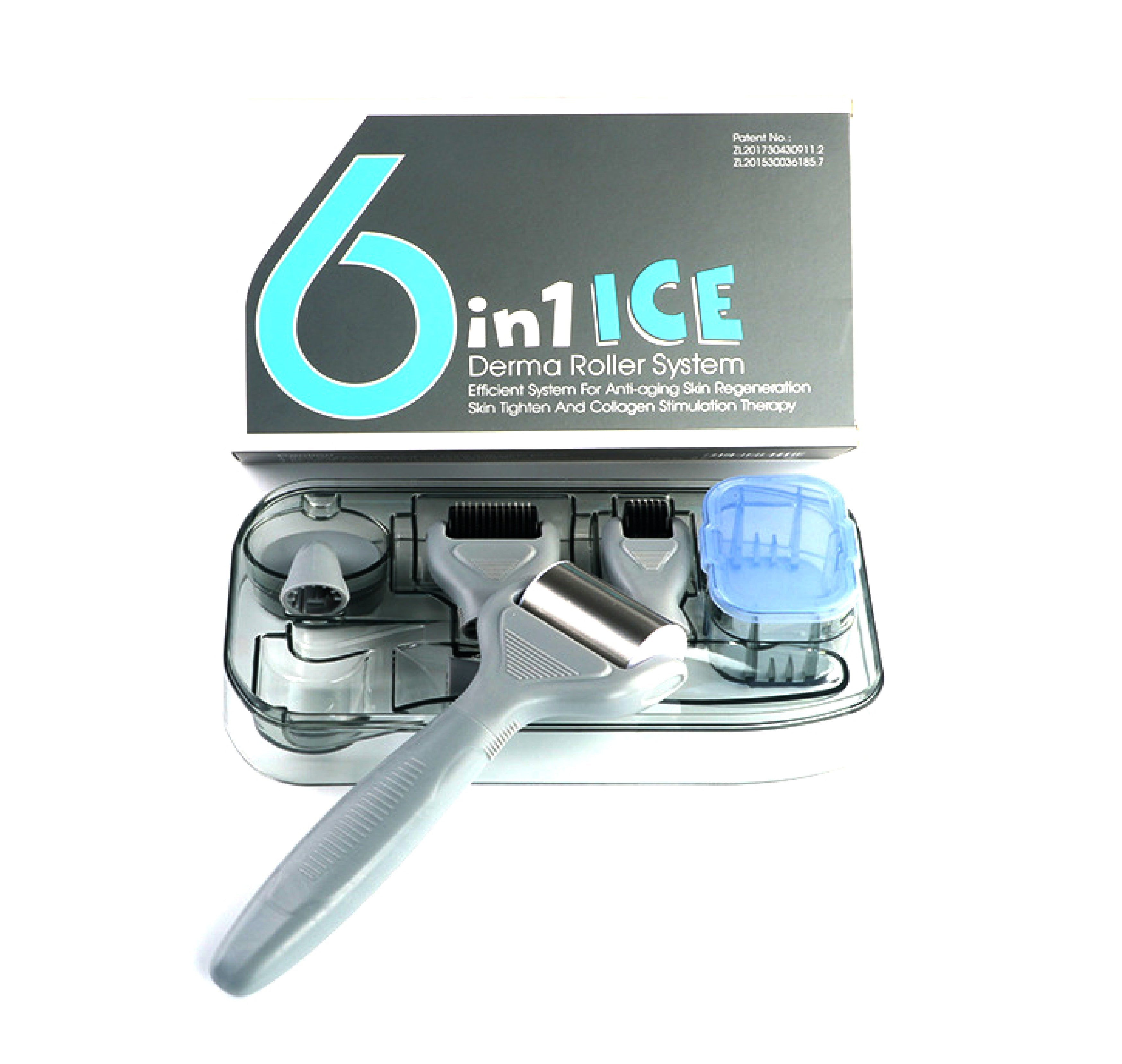DRS 6 in 1 Ice Silver Needle Derma Roller Set