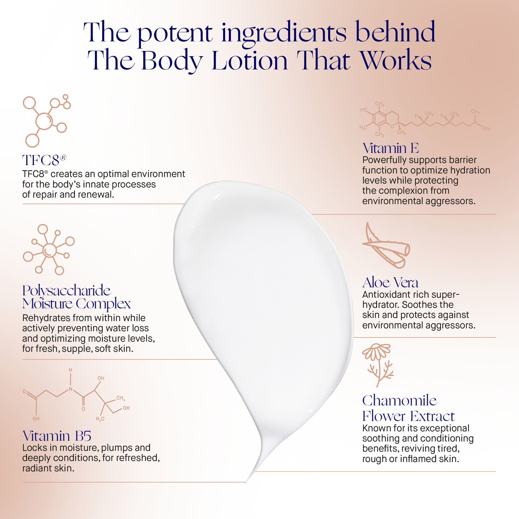 THE BODY LOTION