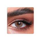Elite Colored Contact Lenses