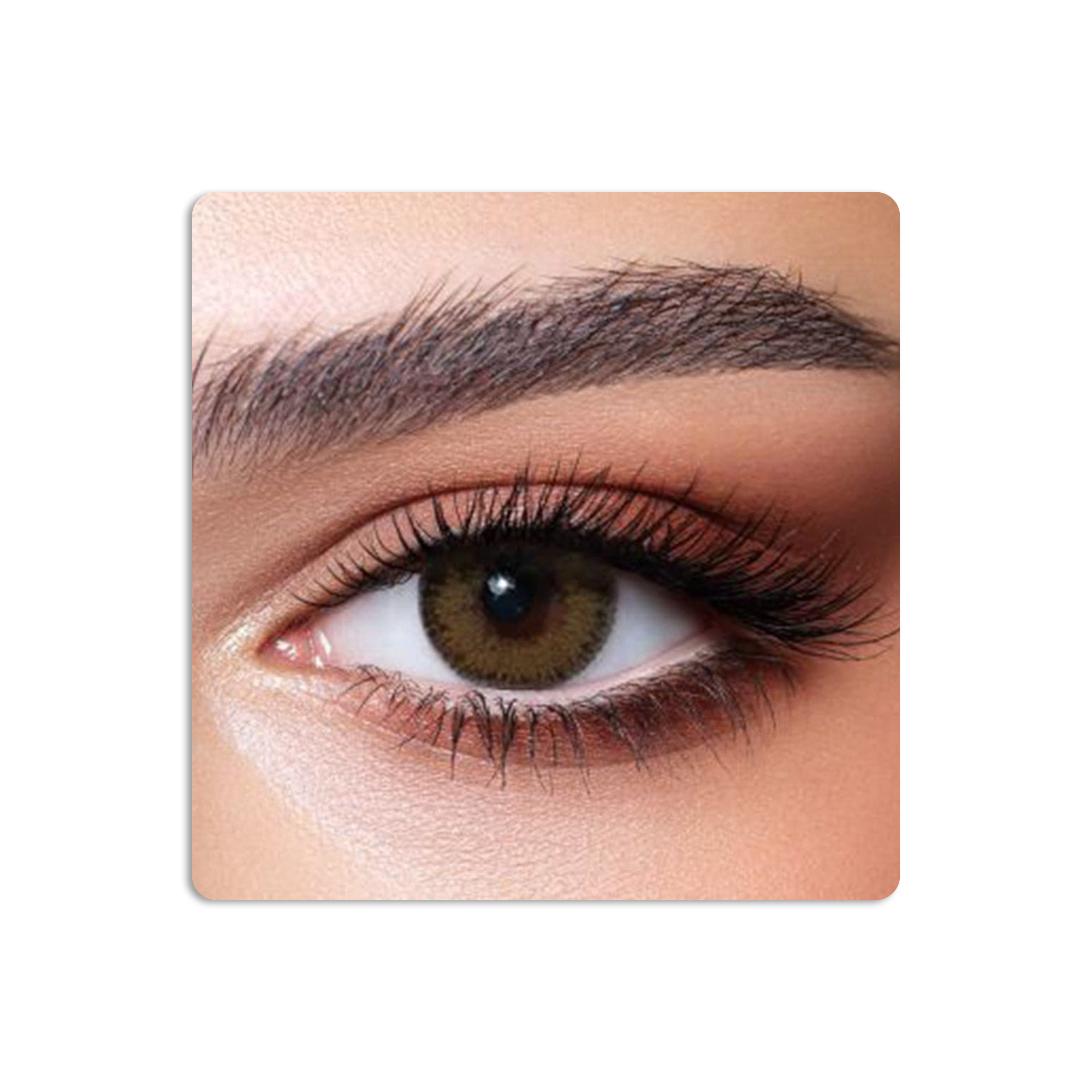 Glow Colored Contact Lenses