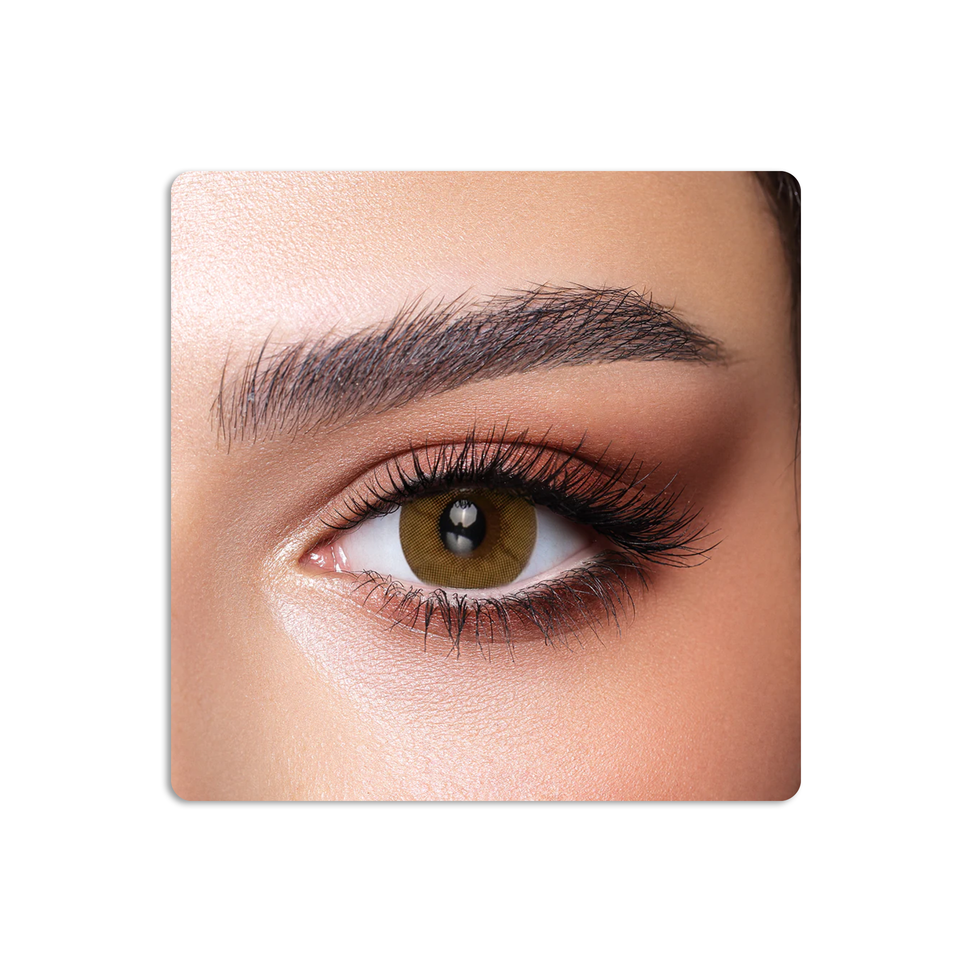 One Day Colored Contact Lenses