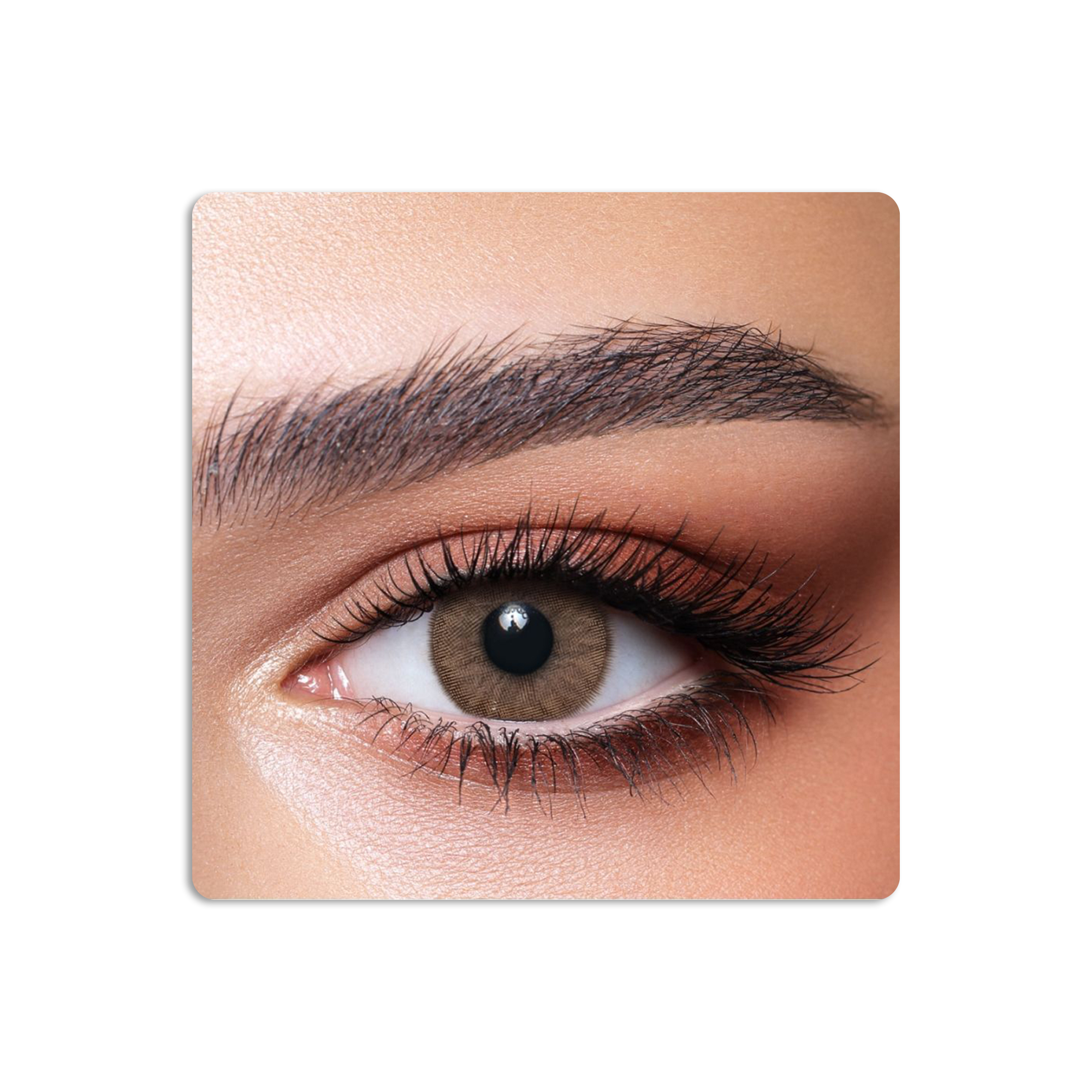 One Day Colored Contact Lenses