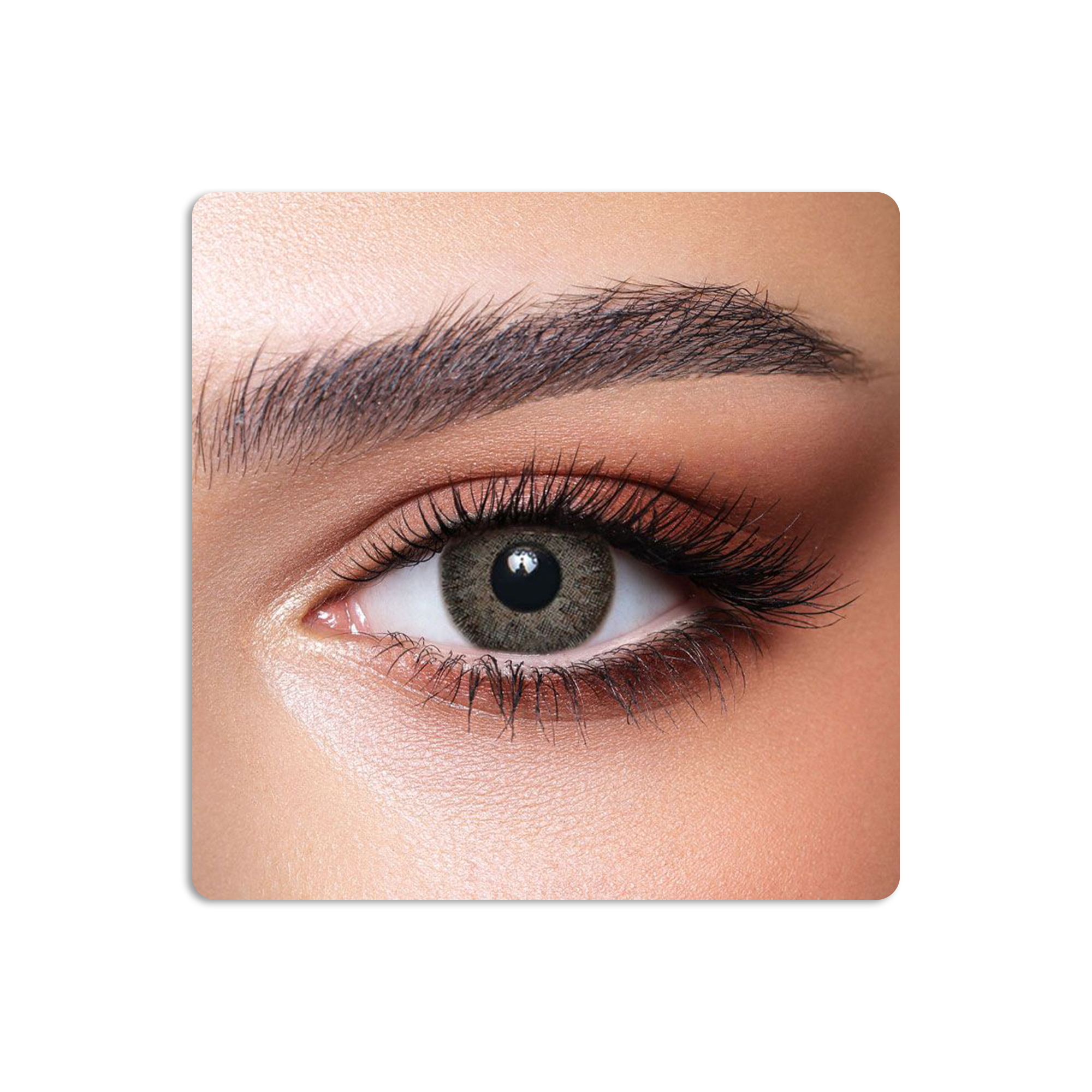 One Day Colored Contact Lenses