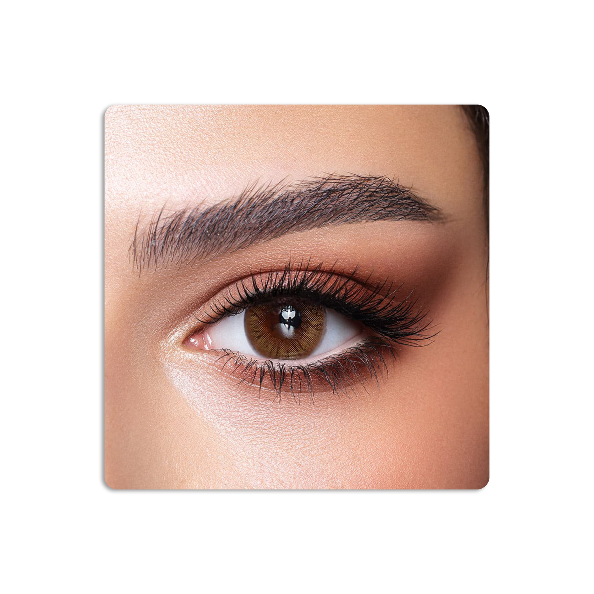 One Day Colored Contact Lenses