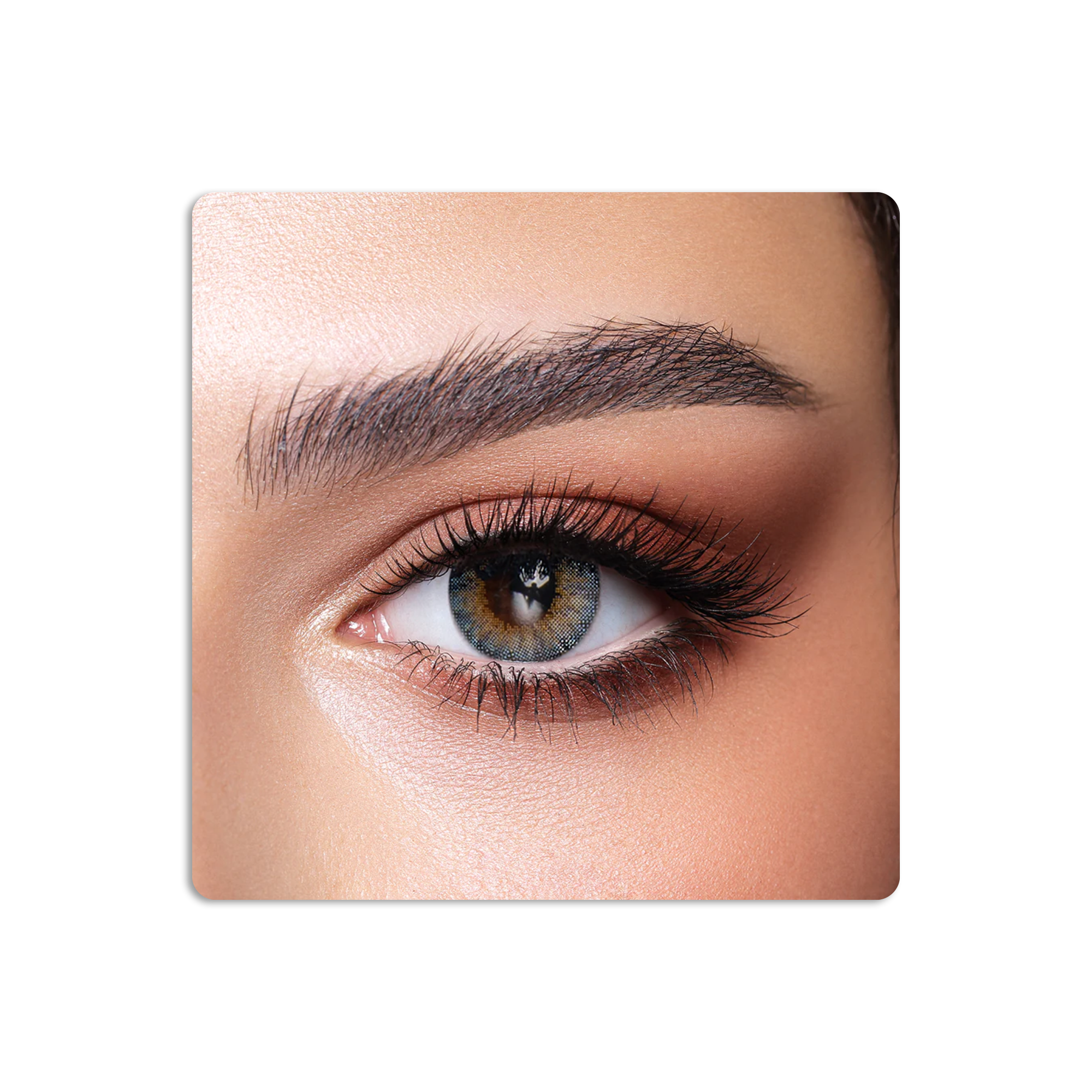 One Day Colored Contact Lenses