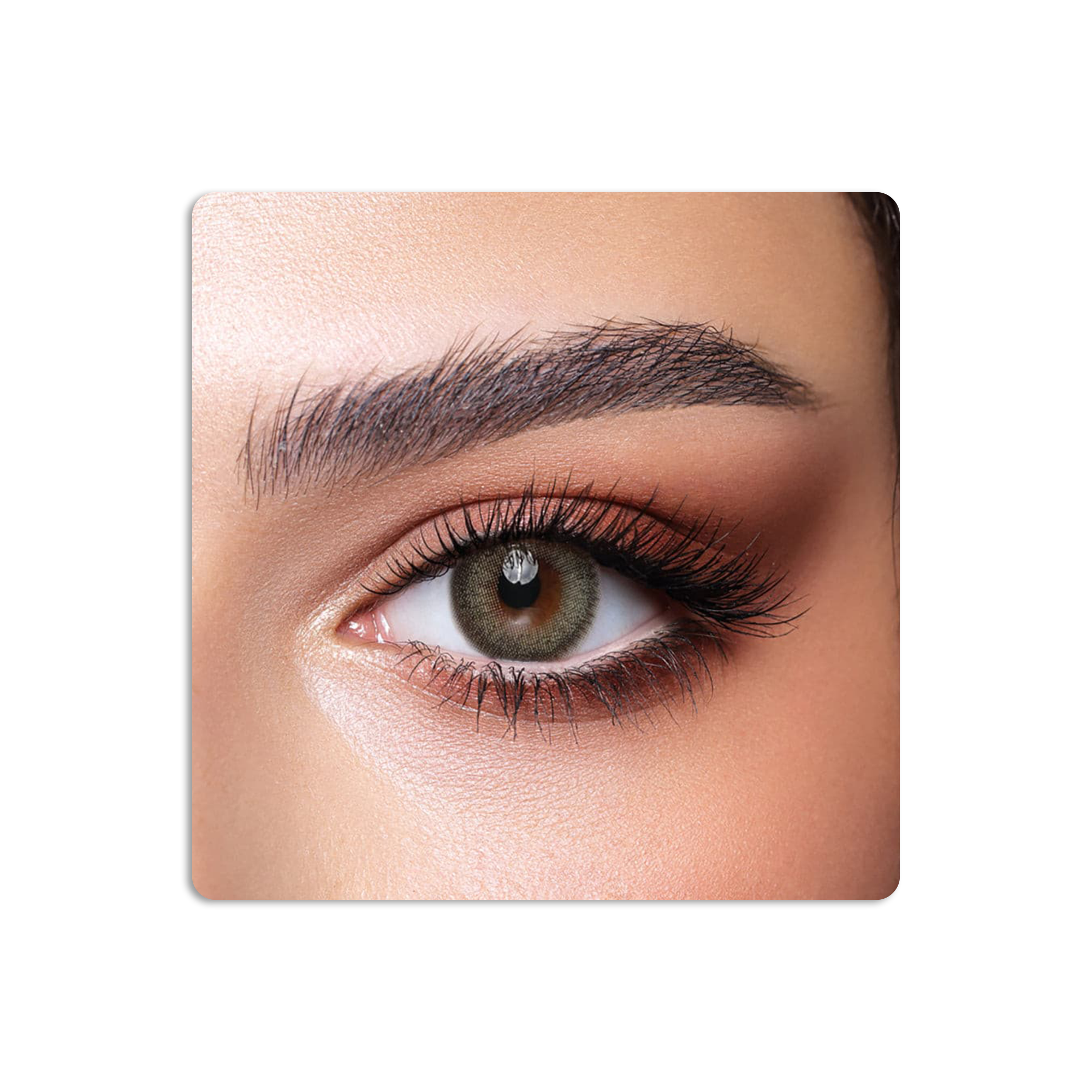 One Day Colored Contact Lenses