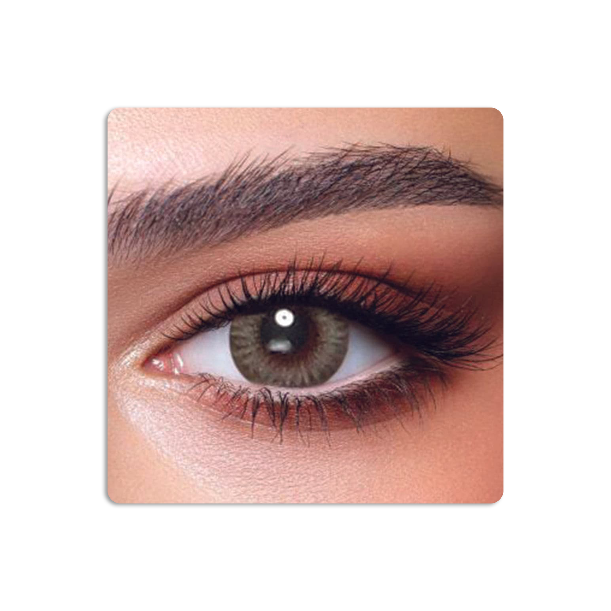 One Day Colored Contact Lenses