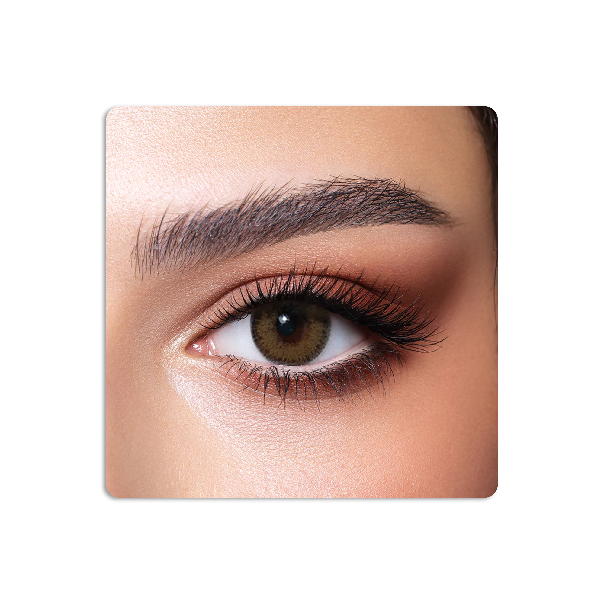 One Day Colored Contact Lenses