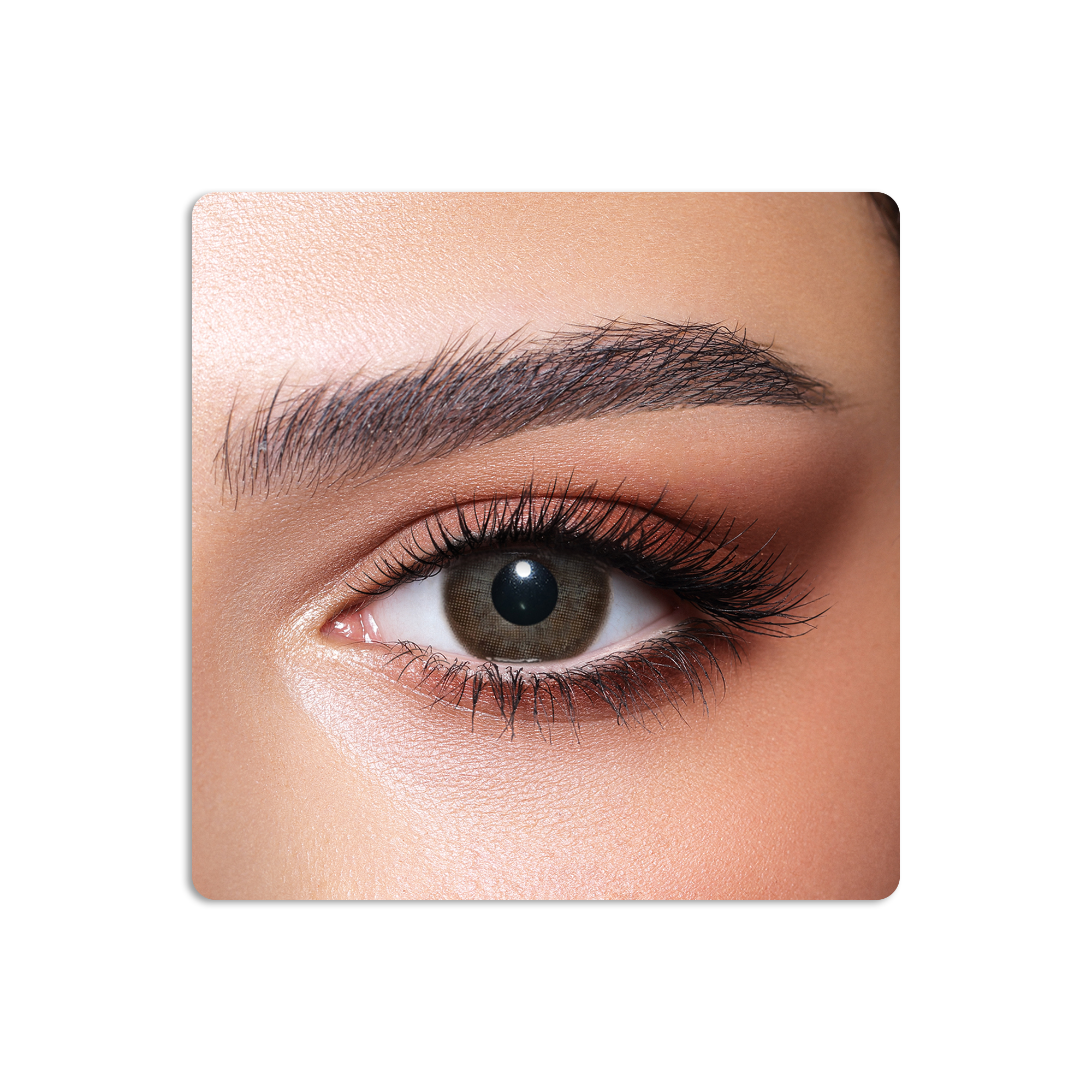 One Day Colored Contact Lenses