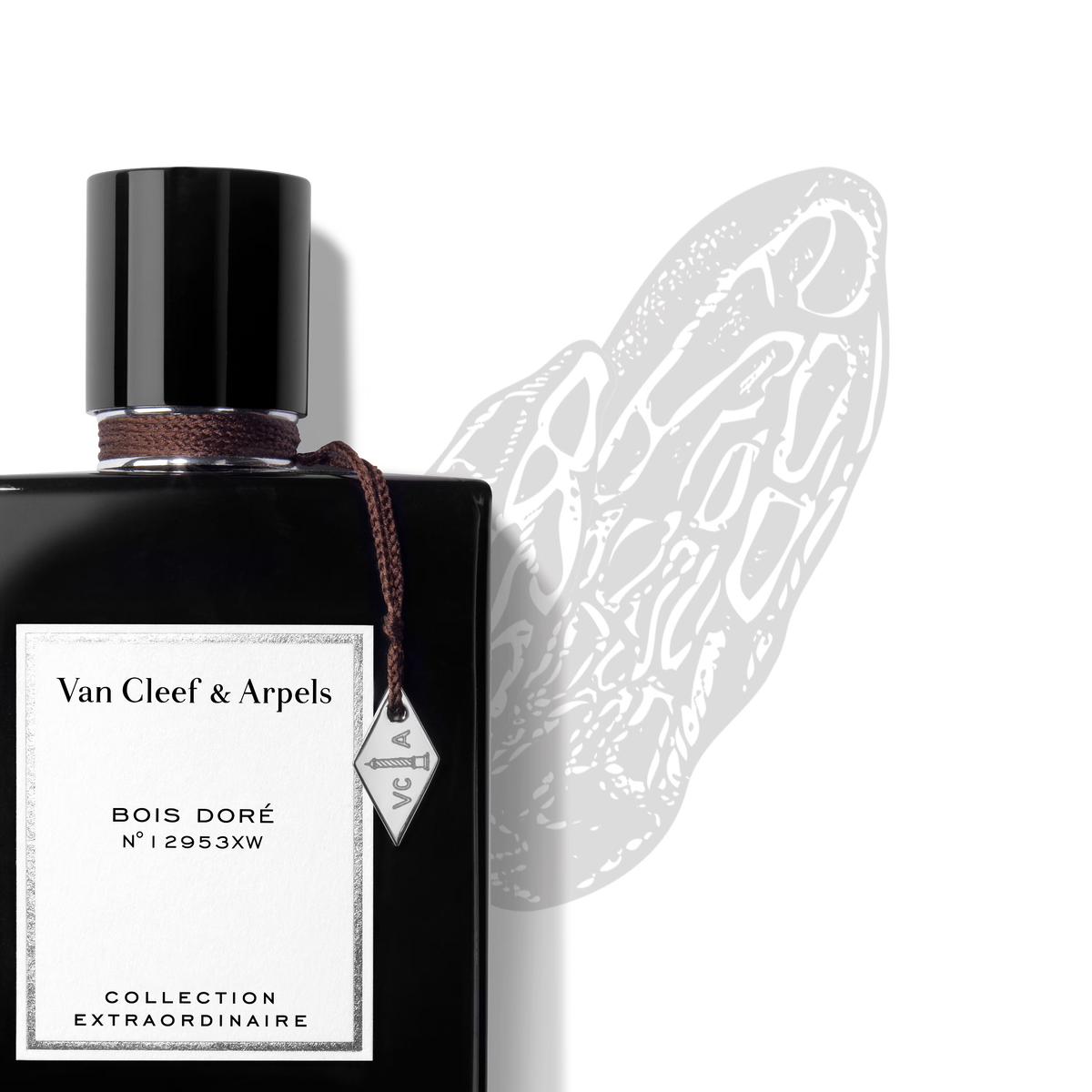 Bois Doré  Eau de Parfum for Unisex