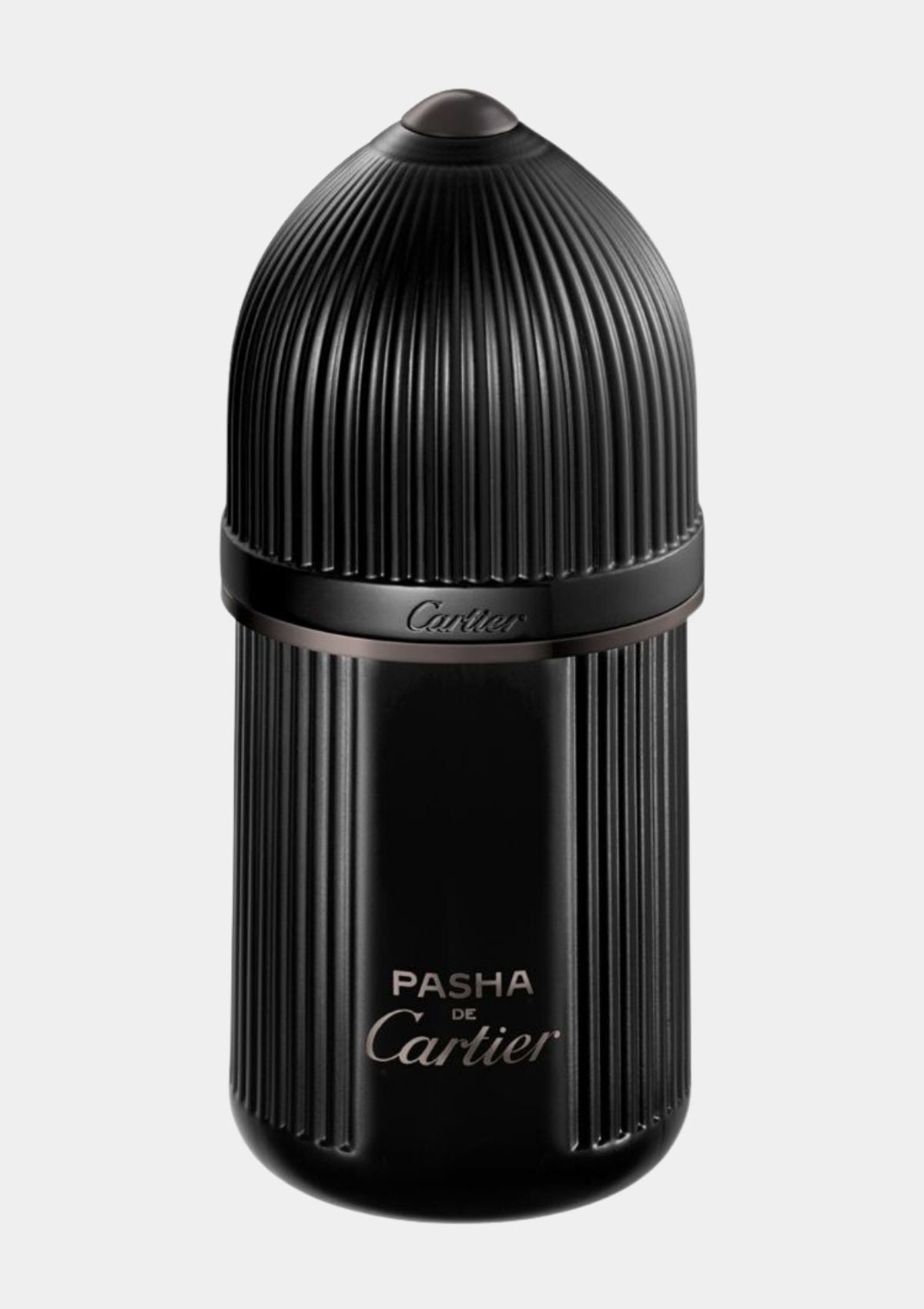 Pasha De Cartier Noir Absolu for Men EDP 100mL