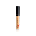 Geisha Lift Concealer