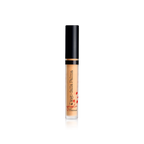 Geisha Lift Concealer