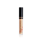 Geisha Lift Concealer