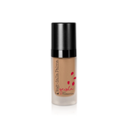 Geisha Lift Foundation