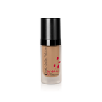 Geisha Lift Foundation