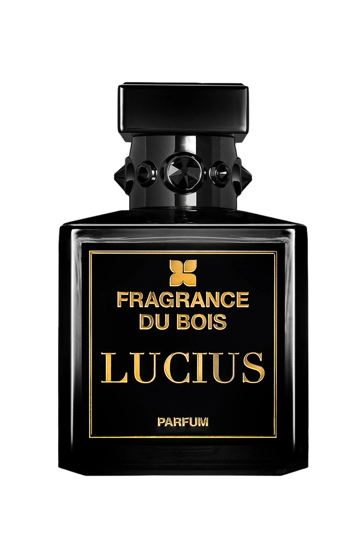 Fragrance Du Bois Lucius Eau de Parfum for Men 100ml