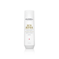 Goldwell Dualsenses Rich Repair Restoring Shampoo 250ml