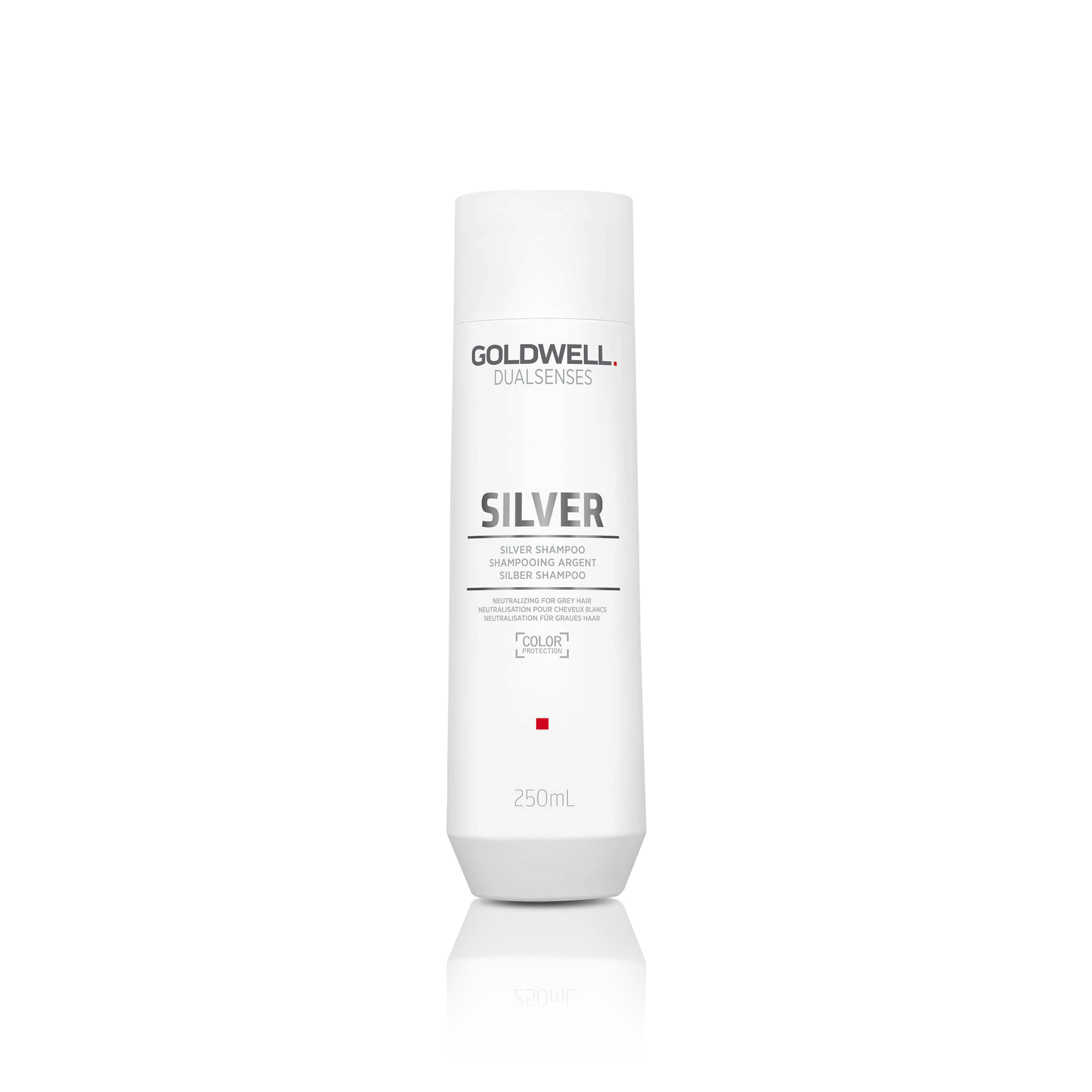 Goldwell Dualsenses Silver Shampoo 250ml