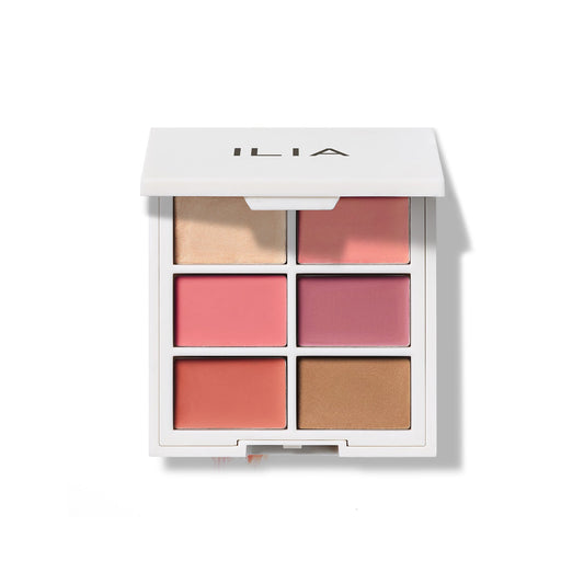 MULTI-STICK FACE PALETTE