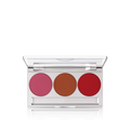 Professional Trio Blusher Set (Magnetic)
