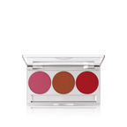 Professional Trio Blusher Set (Magnetic)