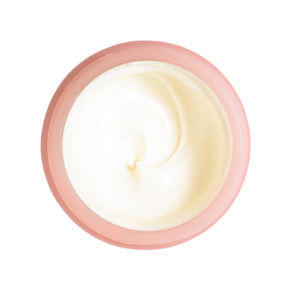 THE LIGHT MOISTURIZER