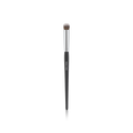 Concealer Brush