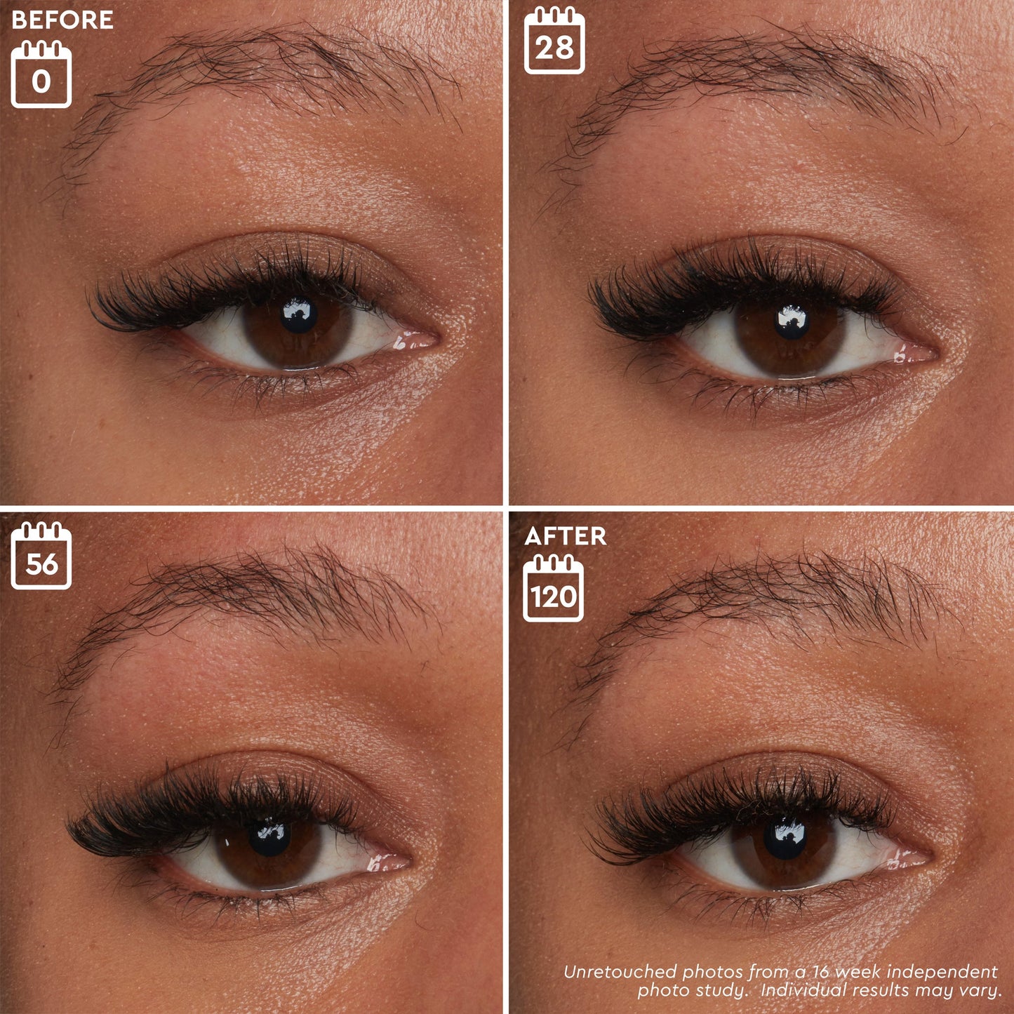 BROW GENIUS