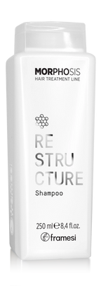Morphosis ReStructure Shampoo 250mL